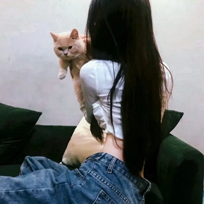 悬案追凶
